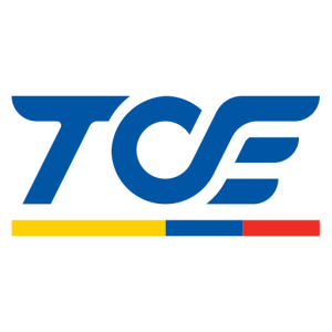 favicon tce